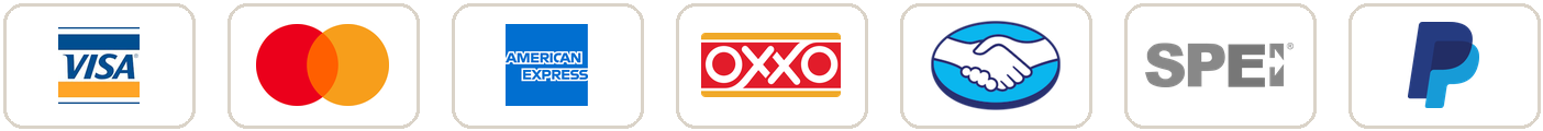 Pagos con Visa, Mastercard, American Express, OXXO, Mercado Pago, SPEI y PayPal
