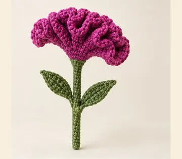 Cresta de gallo morada a crochet, imagen ilustrativa